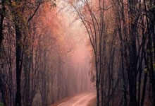 直接下载imtoken|这是Instagram创始人推出的App