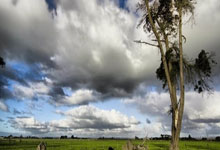 imtoken国际版Android-(imtoken安卓版官网)