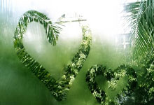 如何鉴别imToken真伪—imtoken钱包真伪鉴别：如何鉴别imToken真伪